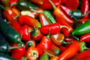 Benington Chilli Festival returns over the August Bank Holiday weekend from August 27 to August 29.