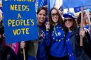 Campaigners from St Albans for Europe took part in the People's Vote March in London. Picture: Damian Boys