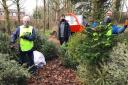 Garden House Hospice Care collected more than 600 trees last year