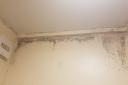 Mould in a property owned by Stevenage Borough Council.