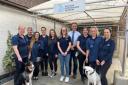 Employees at Hitchin Veterinary Surgery are set to become co-owners of the business.