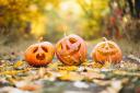 Annual Halloween trail returns to Wellington care home