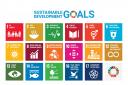 Sustainable Development Goals g