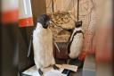 Penguin Pals from North Hertfordshire Museum: one of the entrants to become the new Hertfordshire Museum Object of the Year for 2024