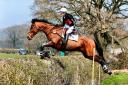 Red Inferno has had a run of success across a variety of disciplines, including eventing, dressage, team chasing and trial hunting.
