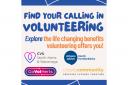 Find your calling in volunteering