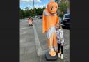 Nemo the clown fish has been stolen from outside Letchworth Aquatics.
