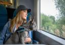 GTR is promoting top dog-friendly destinations that can be reached by train.