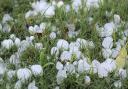 Hail the 'size of a man's head' fell on Hitchin for five straight hours.