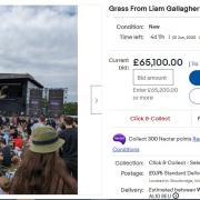 A piece of grass from Liam Gallagher at Knebworth Park is for sale on eBay - with bids having now topped £65,000.