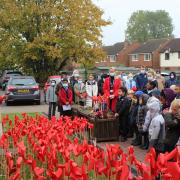Pupils observed the two-minute silence at Our Lady Catholic Primary in Hitchin, among a field of handmade poppies