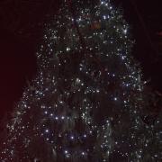 Stevenage Old Town's Christmas tree