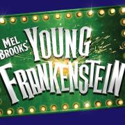 The Stevenage Lytton Players\' next production at the Gordon Craig Theatre will be Young Frankenstein.