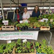 Triangle Garden Club volunteers (l to r) Kavita Krishna, Gill Martin and Fiona Dolman