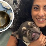 Surgeon Krizia Compagnone helped save Milo's life after he swallowed the 14cm-long skewer.