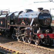 The Sherwood Forester (pictured) is one of the steam locomotives that will be passing through Hertfordshire this weekend.