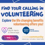 Find your calling in volunteering