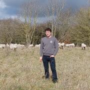 Hatfield farmer Angus Mackay has seen around 25 of his sheep killed in dog attacks since 2016.