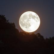 The Super Flower Moon is set to make an appearance this week.