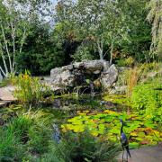 Letchworth Open Gardens is back