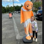 Nemo the clown fish has been stolen from outside Letchworth Aquatics.