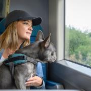 GTR is promoting top dog-friendly destinations that can be reached by train.