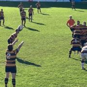 Letchworth take a line-out at Southend Saxons. Picture: LETCHWORTH RFC