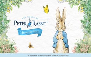 The Peter Rabbit Storytime Trail is coming to North Herts this summer.