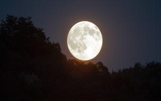 The Super Flower Moon is set to make an appearance this week.