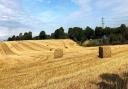 The proposed development site west of Stevenage.