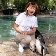 Lorraine Kelly at Penguin Beach ZSL London Zoo, wearing her celebrity T-shirt.