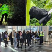 Over 130 blades - including swords, hunting knives and machetes - were surrendered across Hertfordshire.