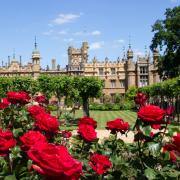 Knebworth House, Gardens & Park will be open daily from the end of June