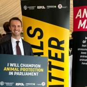 Chris Hinchliff MP met with Animals Matter in Parliament