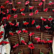 A display of poppies at St Mary's Church in Hitchin.