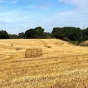 The proposed development site west of Stevenage.