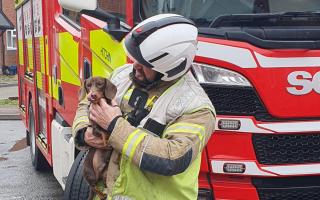 Reggie with one of the firefighters who rescued him.