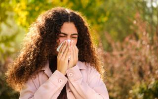 Hertfordshire is set for very high pollen levels this week.