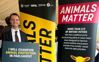 Chris Hinchliff MP met with Animals Matter in Parliament